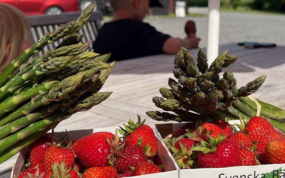Sommar sol och Gårdsbutik